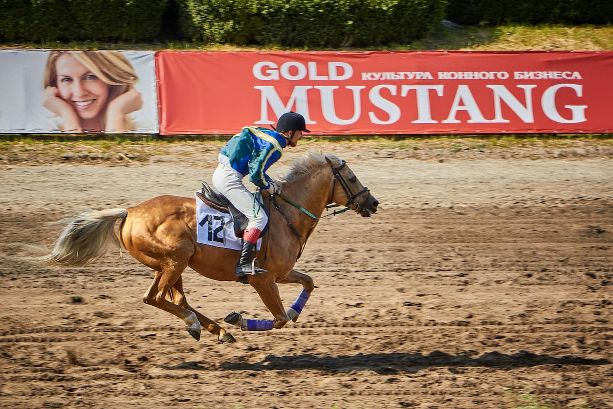 Betting as a Language of Prediction